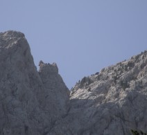 2007_0825sanse070693