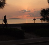 2007_101307Palma0122