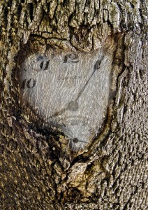 lo rellotge del temps 2-peq